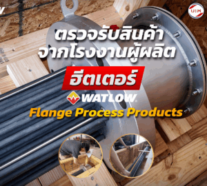 ตรวจสอบสินค้าฮีตเตอร์อุตสาหกรรม WATLOW Flange Process Products